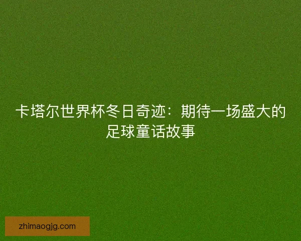 卡塔尔世界杯冬日奇迹：期待一场盛大的足球童话故事