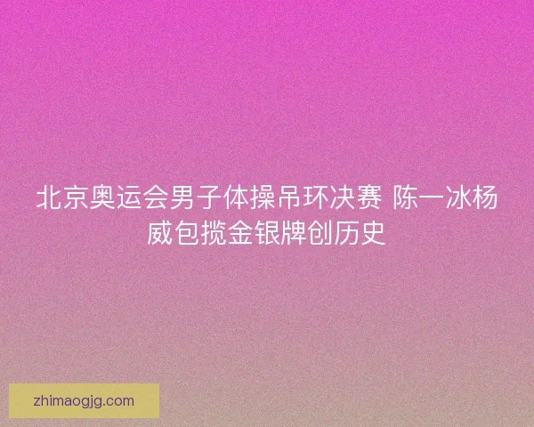 北京奥运会男子体操吊环决赛 陈一冰杨威包揽金银牌创历史