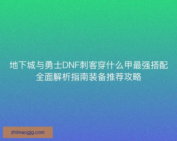 地下城与勇士DNF刺客穿什么甲最强搭配全面解析指南装备推荐攻略