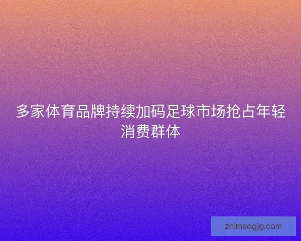 多家体育品牌持续加码足球市场抢占年轻消费群体 多家体育品牌持续加码足球市场抢占年轻消费群体