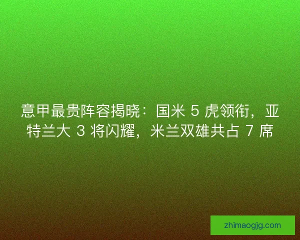 意甲最贵阵容揭晓:国米 5 虎领衔,亚特兰大 3 将闪耀,米兰双雄共占 7 席 意甲最贵阵容揭晓:国米 5 虎领衔,亚特兰大 3 将闪耀,米兰双雄共占 7 席