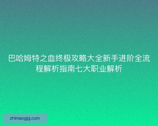 巴哈姆特之血终极攻略大全新手进阶全流程解析指南七大职业解析