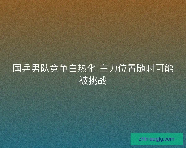 国乒男队竞争白热化 主力位置随时可能被挑战 国乒男队竞争白热化 主力位置随时可能被挑战