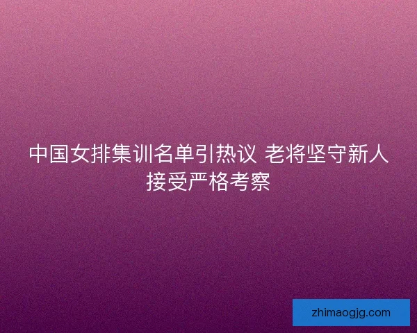 中国女排集训名单引热议 老将坚守新人接受严格考察